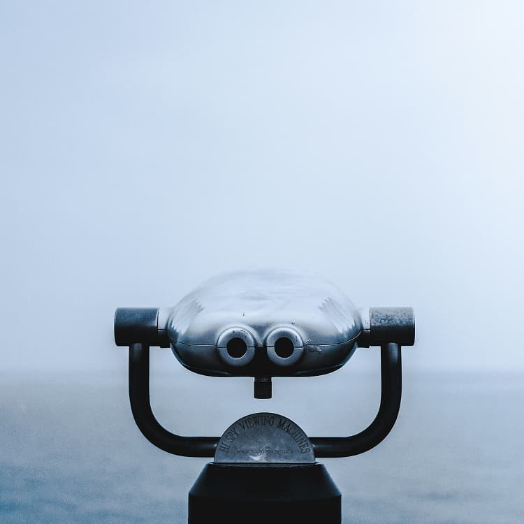 Oversight and Monitoring